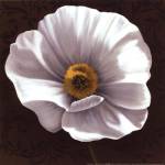 White Poppies I - mini by Jordan Gray