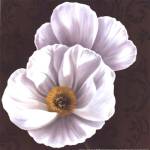 White Poppies II - mini by Jordan Gray