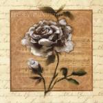 White Rose Square by Julie Ueland