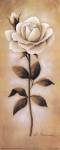 White Roses I by Diane Cochrane