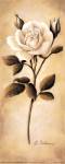 White Roses II by Diane Cochrane