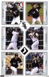 White Sox - Collage 11