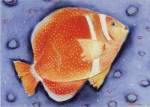White Spotted Island Fish by Dona Turner