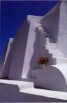 White Steps with Geraniums by Yiorgos Depollas