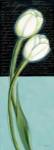White Tulip by Chantal Godbout