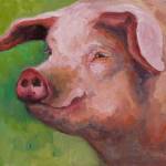 Wilbur by Sarah Webber