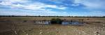 Wild animals at a waterhole, Etosha National Park, Kunene Region, Namibia by Panoramic Images