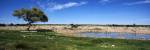 Wild animals at a waterhole, Okaukuejo, Etosha National Park, Kunene Region, Namibia by Panoramic Images
