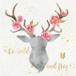 Wild Bohemian I by Jess Aiken