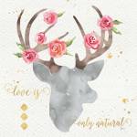 Wild Bohemian II by Jess Aiken