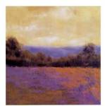 Wild Flowers by Lois Gold