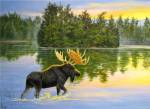 Wilderness Lake Moose by Carol Decker