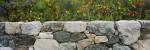 Wildflowers growing near a stone wall, Fidalgo Island, Skagit County, Washington State, USA by Panoramic Images