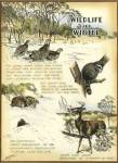 Wildlife by Robert Settle