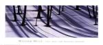 William Neill - Pine Trees and Morning Shadows Size 20x36 by William Neill