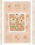 Wilma Sanchez - Black-Eyed Susans Size 10x8 by Wilma Sanchez