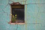 Window 3 by Wayne Bradbury Photography