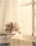 Window Light I by Kathryn Boggs