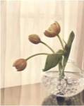 Window Light II by Kathryn Boggs