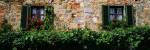 Windows, Monteriggioni, Tuscany, Italy by Panoramic Images