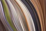 Windswept 3 by James Burghardt