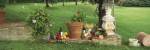 Wine grapes and foods of Chianti Region of Tuscany at private estate, Italy by Panoramic Images
