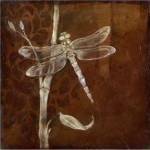 Wings & Damask VI by Jennifer Goldberger
