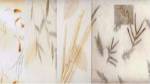 Winter Bamboo by Deborah Roundtree