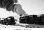 Winter Meet by Thomas Kerwin