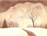 Winter Path by Jeff Friesen