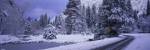 Winter Road, Yosemite Park, California, USA by Panoramic Images