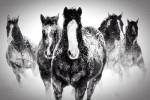 Winter Rumble by Deb Lee Carson