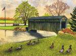 Winter's Covered Bridge, North Collins Ny by Thelma Winter
