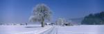 Winter Scenic, Austria by Panoramic Images