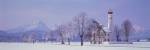 Winter St Coloman Church Schwangau Germany by Panoramic Images