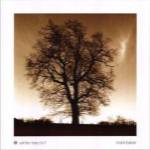 Winter Tree No. 1 by Mark Baker
