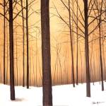 Winter Warmth by Patrick St. Germain