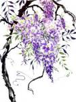 Wisteria Garden I by Nan Rae