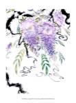 Wisteria Garden III by Nan Rae