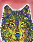 Wolf by Dean Russo