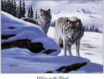 Wolves On The Prowl by Don Balke