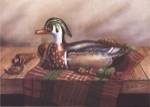Wood Duck Decoy by Judith Gibson