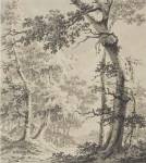 Wooded Landscape by Paulus Liender