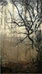 Wooded Solace III by Jennifer Goldberger