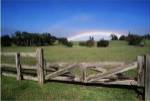 Wooden fence enclosing a field with a rainbow in the background, Maui, Hawaii, USA