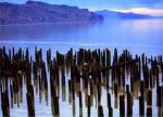 Wooden posts in water, Columbia River, Washington, USA