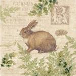 Woodland Trail IV (Rabbit) by Pamela Gladding