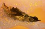 Yellow Fall Leaf Floating In Bubbles II by Gordon Semmens