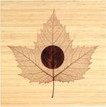 Yin/Bamboo by Owen Mortensen