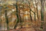 You Can?t Hide Your Rays for Me by Lars Van De Goor